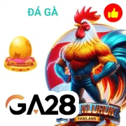 8qbet Game 08